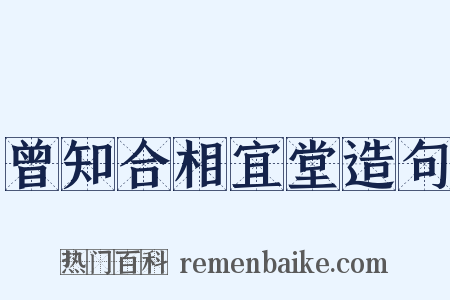 曾知合相宜堂造句是什么意思的图片